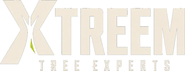 Xtreem Tree Experts
